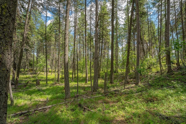 685 Mountain Meadow Rd, Kalispell, MT 59901