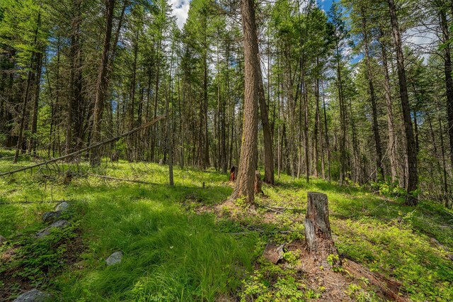 685 Mountain Meadow Rd, Kalispell, MT 59901