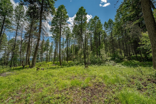685 Mountain Meadow Rd, Kalispell, MT 59901