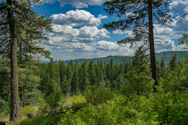 685 Mountain Meadow Rd, Kalispell, MT 59901