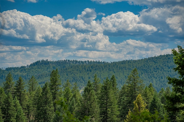 685 Mountain Meadow Rd, Kalispell, MT 59901