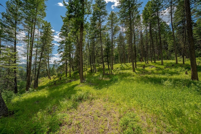 685 Mountain Meadow Rd, Kalispell, MT 59901