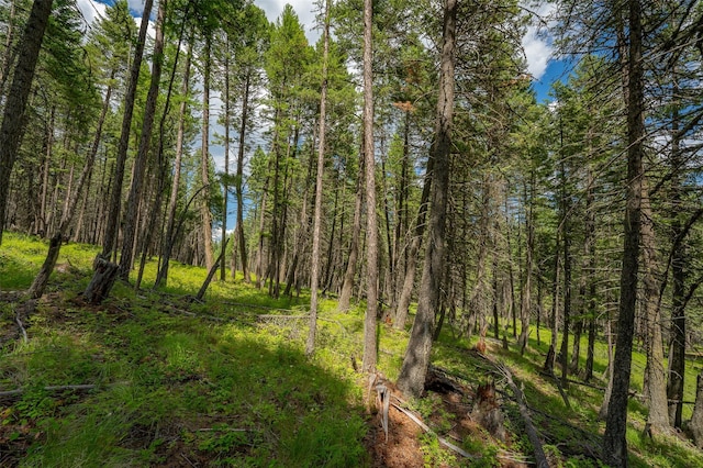 685 Mountain Meadow Rd, Kalispell, MT 59901