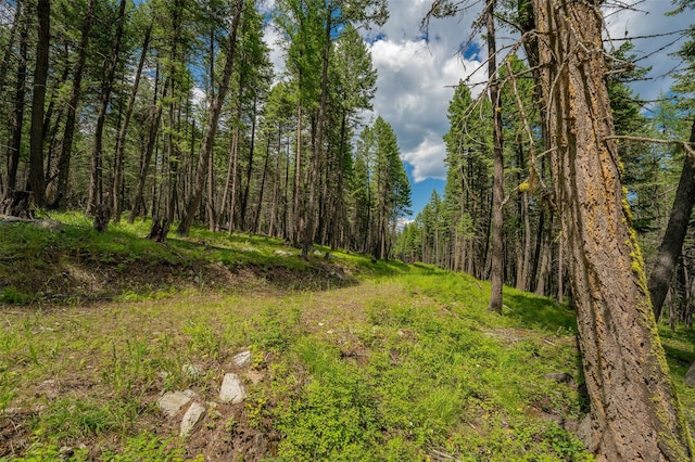 685 Mountain Meadow Rd, Kalispell, MT 59901