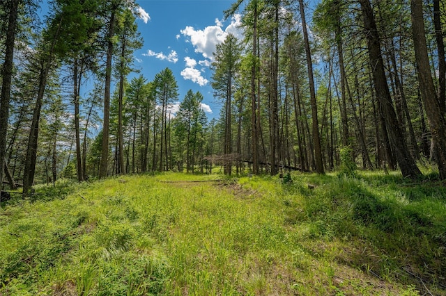 685 Mountain Meadow Rd, Kalispell, MT 59901