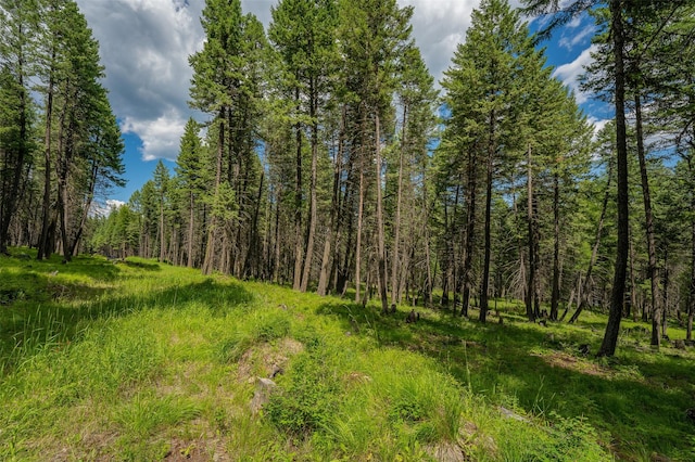 685 Mountain Meadow Rd, Kalispell, MT 59901