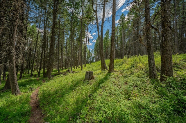 685 Mountain Meadow Rd, Kalispell, MT 59901