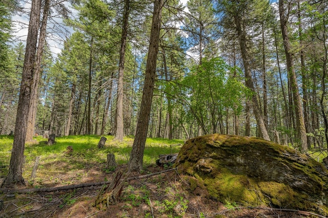 685 Mountain Meadow Rd, Kalispell, MT 59901