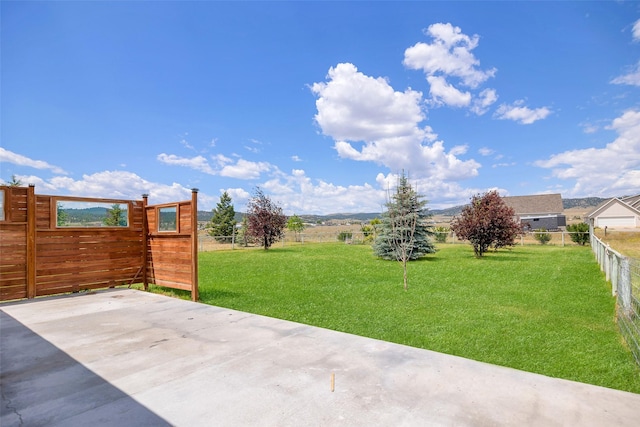 view of yard featuring a patio area