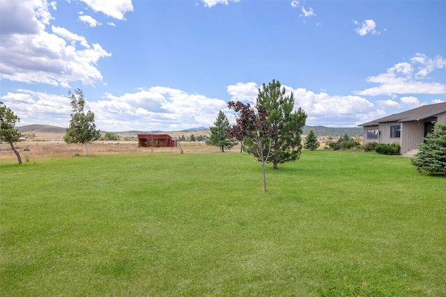 view of yard featuring a mountain view and a rural view