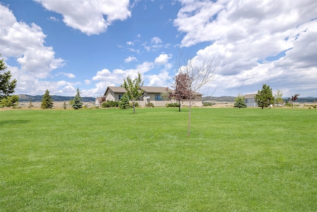 view of yard featuring a rural view