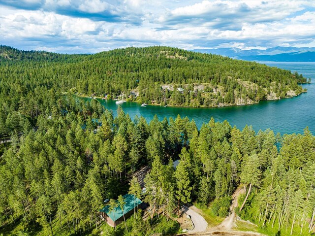 bird's eye view featuring a water and mountain view