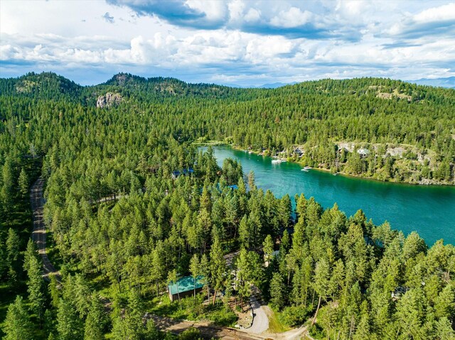 bird's eye view with a water and mountain view