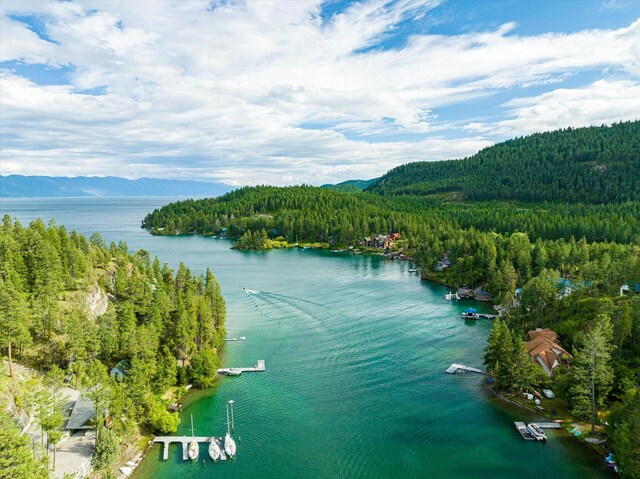 property view of water with a mountain view