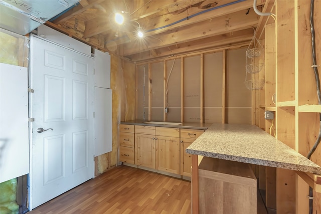 basement with light hardwood / wood-style flooring and sink