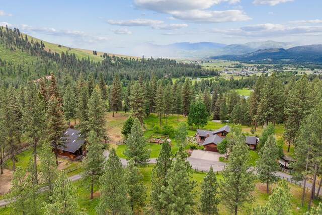 aerial view with a mountain view