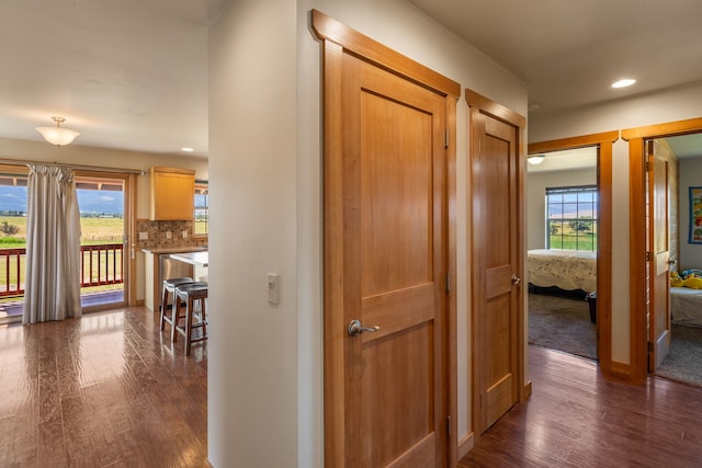 hall featuring dark hardwood / wood-style flooring