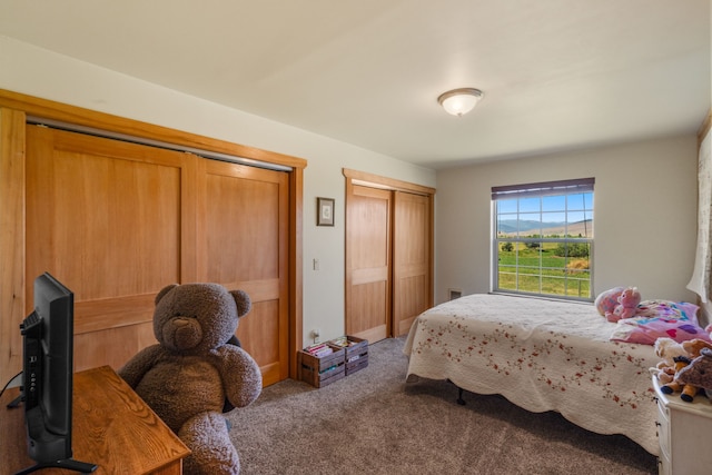 bedroom featuring carpet and multiple closets