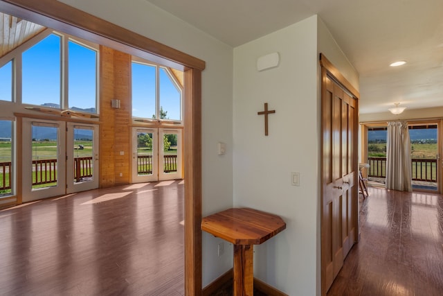 corridor featuring plenty of natural light and hardwood / wood-style flooring