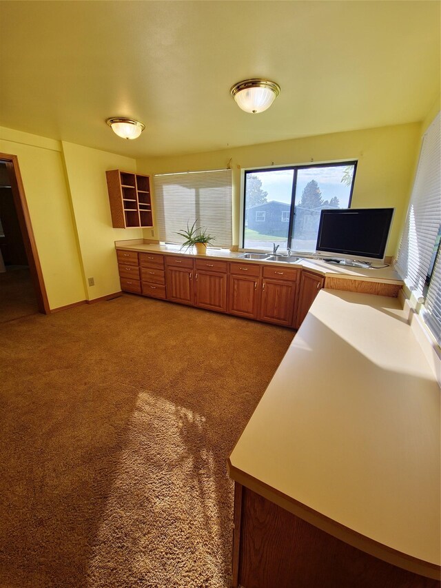 512 S Oak St, Townsend, MT 59644 - interior space with a wealth of natural light, a sink, and carpet