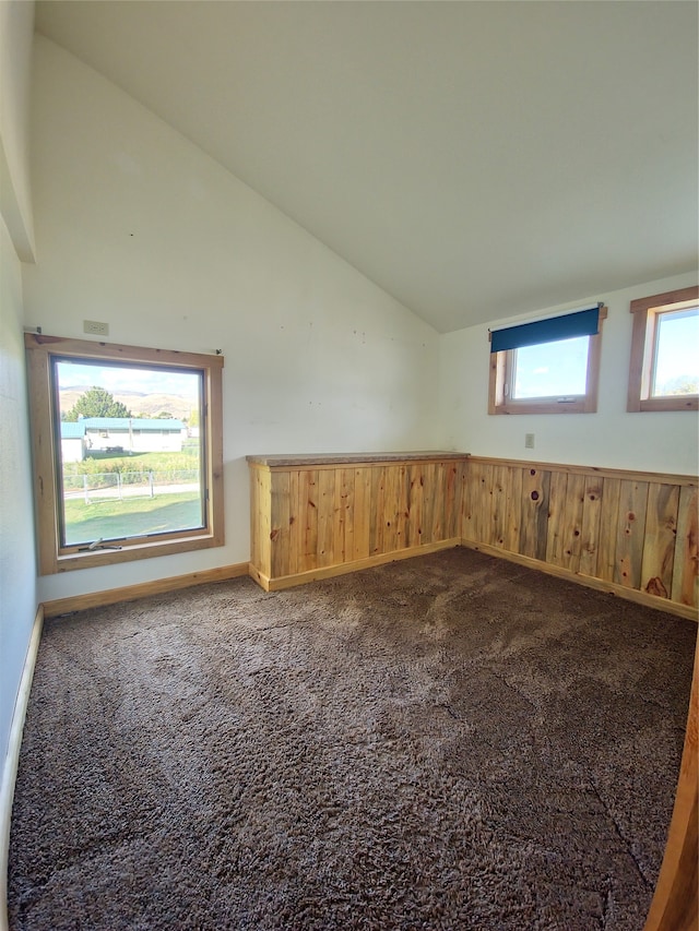 bonus room with a healthy amount of sunlight and a high ceiling