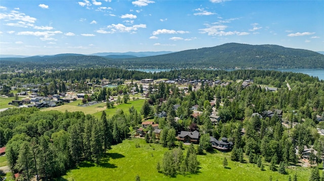 963 Colorado Ave, Whitefish, MT 59937 - drone / aerial view of mountains