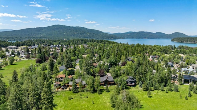 963 Colorado Ave, Whitefish, MT 59937 - drone / aerial view of a water and mountain view and a forest