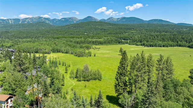 963 Colorado Ave, Whitefish, MT 59937 - mountain view with a forest