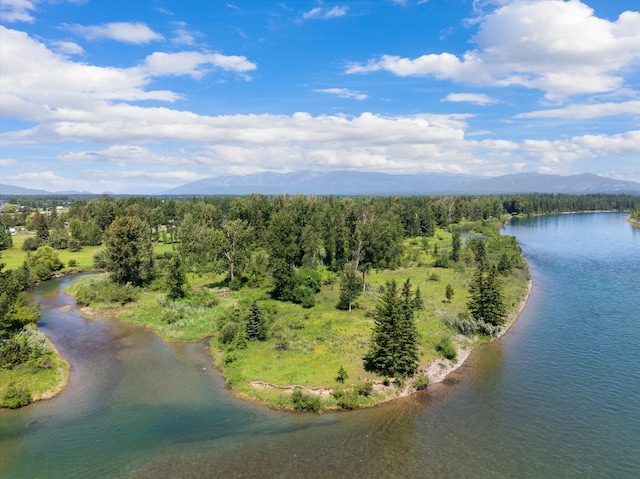 birds eye view of property featuring a forest view and a water and mountain view