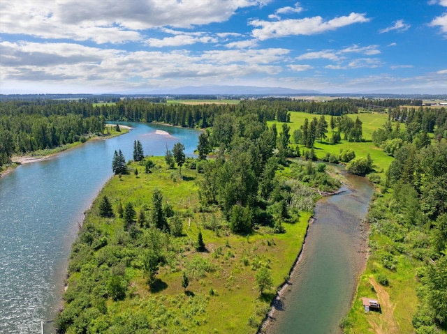 aerial view with a water view and a wooded view