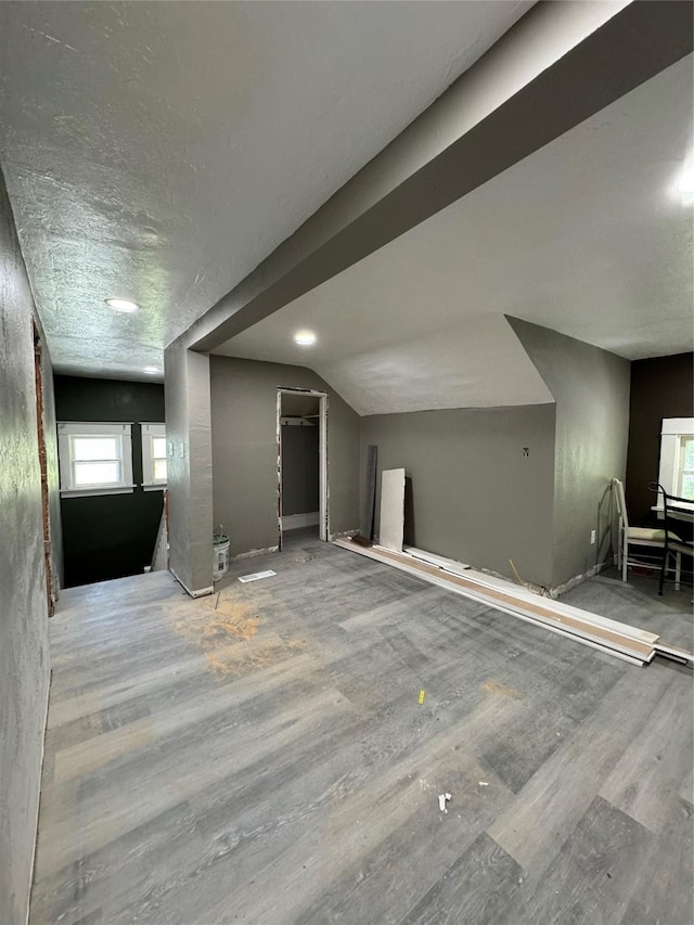 interior space featuring wood-type flooring and lofted ceiling