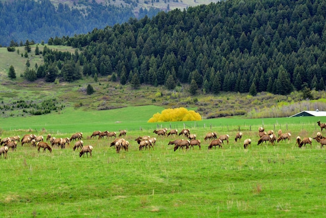 view of community featuring a rural view