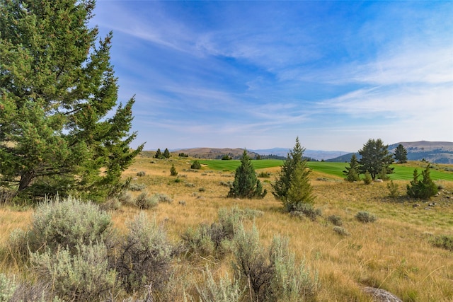 view of nature featuring a mountain view and a rural view