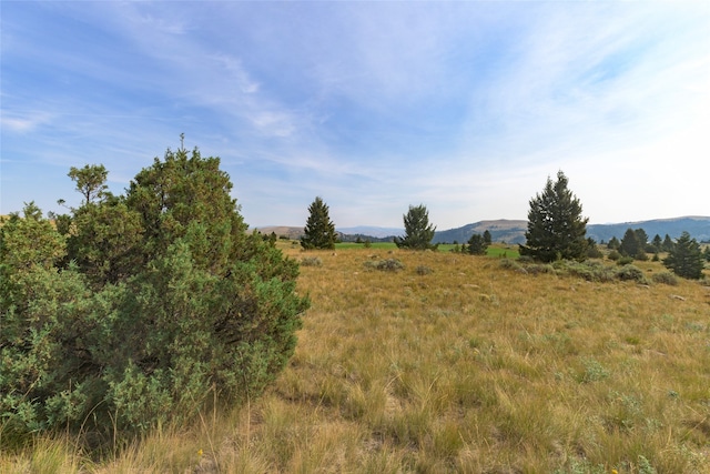 view of landscape featuring a mountain view