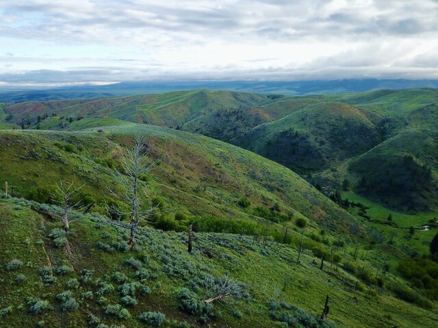 Parcel2 Greyson Creek, Townsend, MT 59644
