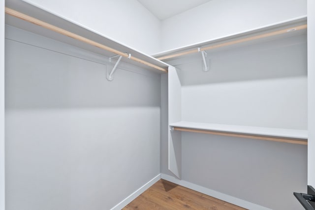 spacious closet with hardwood / wood-style floors