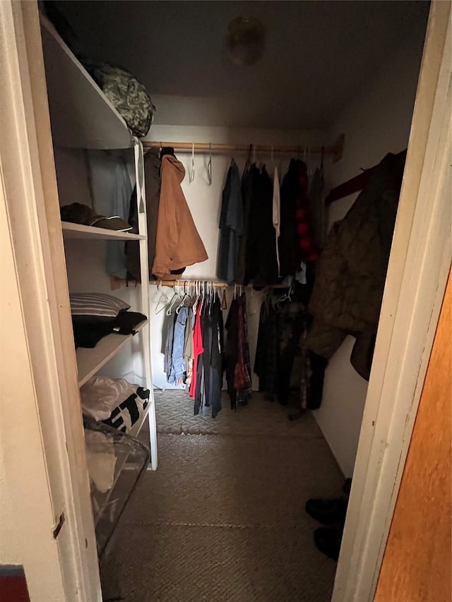 walk in closet with carpet flooring