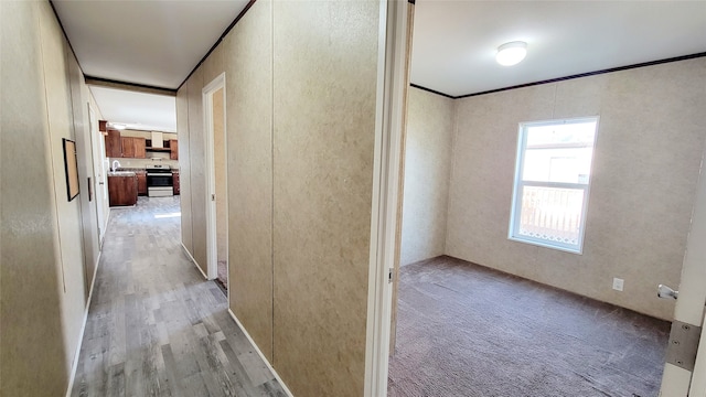 hall featuring light hardwood / wood-style floors and crown molding