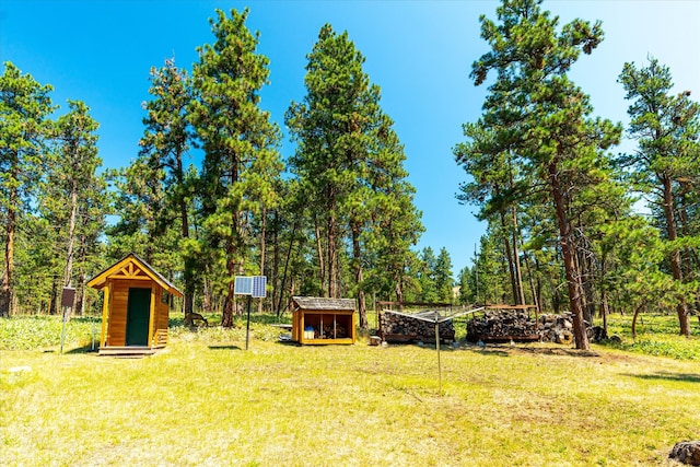 view of yard featuring a storage shed