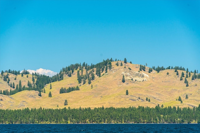 view of mountain feature with a water view