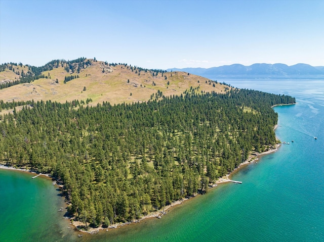 drone / aerial view with a water and mountain view