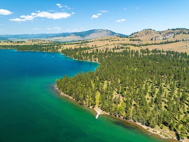 drone / aerial view with a water and mountain view