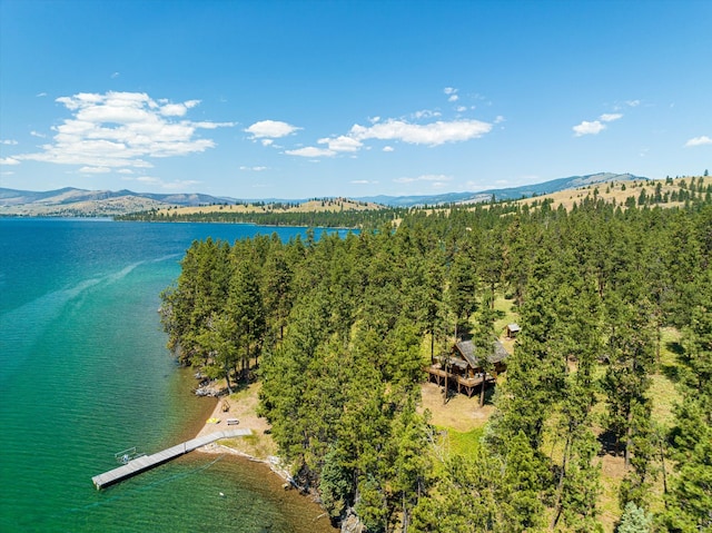 birds eye view of property with a water and mountain view