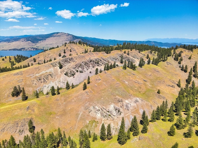 bird's eye view featuring a water and mountain view