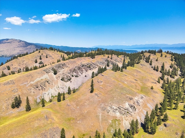 bird's eye view with a mountain view