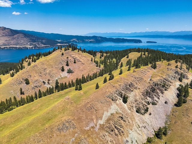 birds eye view of property with a water and mountain view