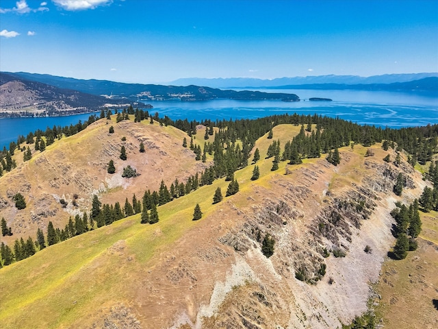 aerial view with a water and mountain view