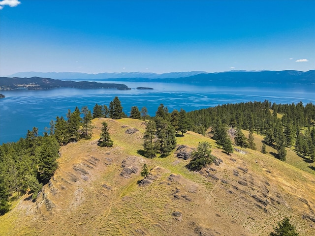 aerial view with a water and mountain view