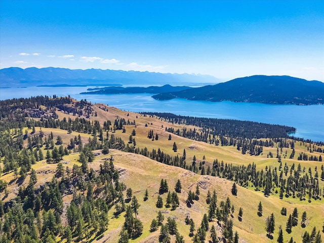 aerial view with a mountain view