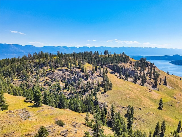 aerial view featuring a mountain view